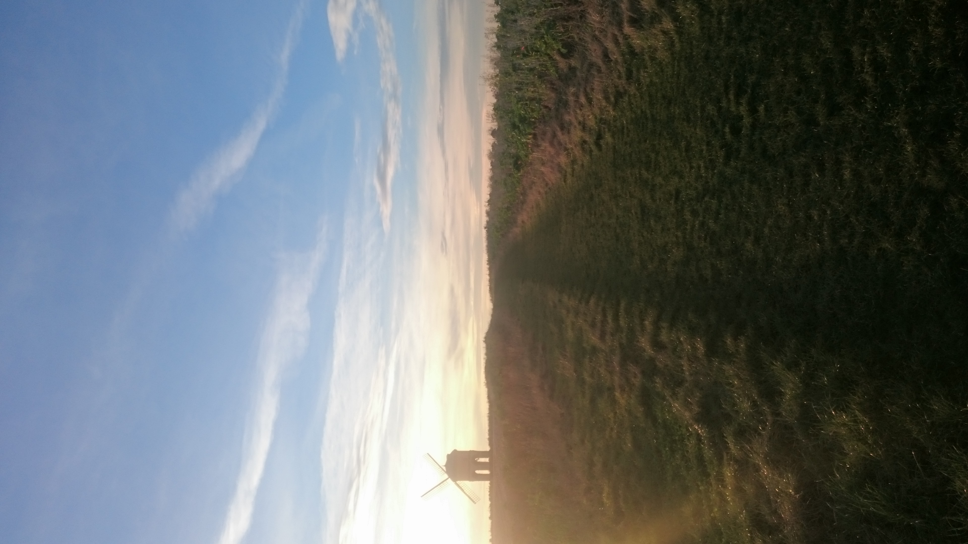 Image of nature photo